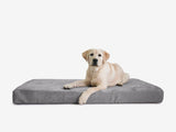 Nestdale | Dog Crate Bed Orthopedic Memory Foam Machine Washable, 5 Sizes