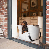 Nestcove | Dog Carrier Bed with Removable Cushion and Non-Slip Base