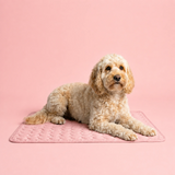 Treldon | Dog and Cat Cooling Mat Lightweight Breathable, S to L, 3 Colors