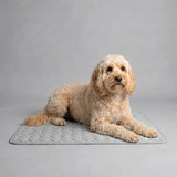 Treldon | Dog and Cat Cooling Mat Lightweight Breathable, S to L, 3 Colors