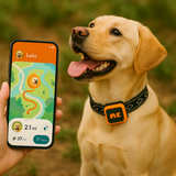 Velmar | Dog GPS Tracker Real-Time Location Monitoring, Durable