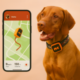 Velmar | Dog GPS Tracker Real-Time Location Monitoring, Durable