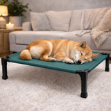 Clawven | Dog Elevated Cot Bed Breathable Mesh Chew-Proof, Multiple Colors