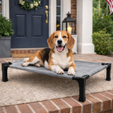 Clawven | Dog Elevated Cot Bed Breathable Mesh Chew-Proof, Multiple Colors