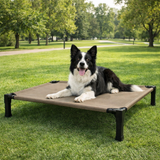 Clawven | Dog Elevated Cot Bed Breathable Mesh Chew-Proof, Multiple Colors