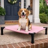 Clawven | Dog Elevated Cot Bed Breathable Mesh Chew-Proof, Multiple Colors