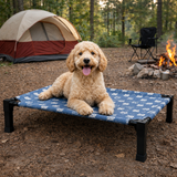 Clawven | Dog Elevated Cot Bed Breathable Mesh Chew-Proof, Multiple Colors