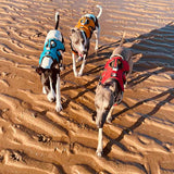 Muzzwick | Dog Escape-Proof Harness for Whippets and Greyhounds Reflective