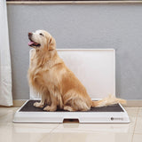 Glenwick | Indoor Dog Potty with Odor Control Easy Clean, 2 Sizes