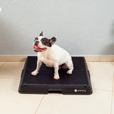 Glenwick | Indoor Dog Potty with Odor Control Easy Clean, 2 Sizes