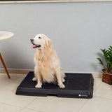 Glenwick | Indoor Dog Potty with Odor Control Easy Clean, 2 Sizes