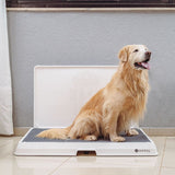 Glenwick | Indoor Dog Potty with Odor Control Easy Clean, 2 Sizes
