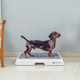 Pawlix Indoor Dog Potty with Odor Control for Small to Medium Breeds 22
