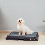 Glenwick | Indoor Dog Potty with Odor Control Easy Clean, 2 Sizes