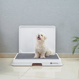 Glenwick | Indoor Dog Potty with Odor Control Easy Clean, 2 Sizes