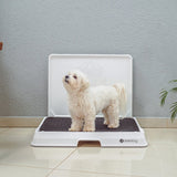 Glenwick | Indoor Dog Potty with Odor Control Easy Clean, 2 Sizes