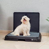 Glenwick | Indoor Dog Potty with Odor Control Easy Clean, 2 Sizes