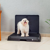 Glenwick | Indoor Dog Potty with Odor Control Easy Clean, 2 Sizes