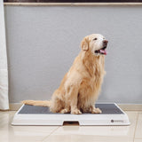 Glenwick | Indoor Dog Potty with Odor Control Easy Clean, 2 Sizes