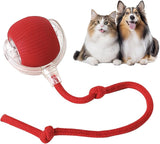 Trellix | Dog and Cat Interactive Toy Ball Smart Sensors USB Rechargeable