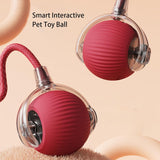 Trellix | Dog and Cat Interactive Toy Ball Smart Sensors USB Rechargeable