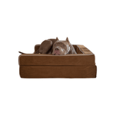 Pawston | Dog Orthopedic Bed with Bolsters Memory Foam Waterproof, 4 Sizes