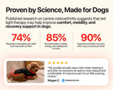 Bristow | Dog Red Light LED Device Rechargeable, Available in 3 Sizes