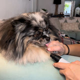Brindlo | Dog and Cat Silent Grooming Tool with Ergonomic Grip