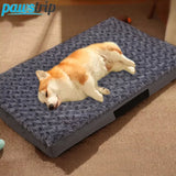 Pawtrel | Dog Bed Orthopedic Support for Small to Medium Breeds