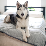 Coathen | Dog Blanket Waterproof Cooling Fabric Available in 3 Sizes