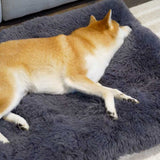 Greylix | Dog Calming Mat Anti-Slip Plush Washable All Breeds