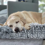 Greylix | Dog Calming Mat Anti-Slip Plush Washable All Breeds
