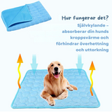 Pawden | Dog Cooling Mat Self-Cooling Available in 5 Sizes All Breeds