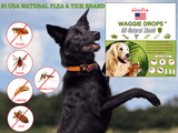 Hawkven | Dog Flea and Tick Spot-On Natural Ingredients Long-Lasting