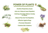 Hawkven | Dog Flea and Tick Spot-On Natural Ingredients Long-Lasting