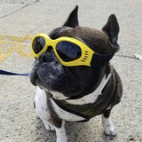 Nestwick | Dog Goggles UV Protection with Shatter-Resistant Lenses, 6 Colors