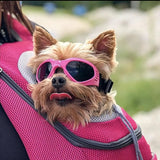 Nestwick | Dog Goggles UV Protection with Shatter-Resistant Lenses, 6 Colors