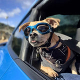 Nestwick | Dog Goggles UV Protection with Shatter-Resistant Lenses, 6 Colors