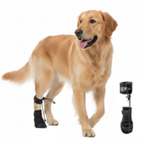 Brinlow | Dog Knuckling Support Brace Adjustable, XS to L for All Breeds