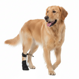 Brinlow | Dog Knuckling Support Brace Adjustable, XS to L for All Breeds