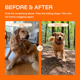 Pawcrest | Dog Pest Control Collar Adjustable Fit for All Breeds