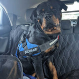 Pawbrook | Dog Rear Car Seat Extender and Travel Hammock with Storage