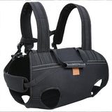 Pawcliff Support Harness | Large Dog Full-Body Carry Harness Multi-Handle