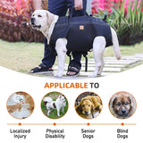 Pawcliff Support Harness | Large Dog Full-Body Carry Harness Multi-Handle