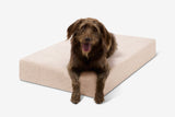 Pawmeadow | Dog Bed Orthopedic 7-Inch CertiPUR-US Foam Machine Washable