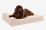 Pawtastic | Large Dog Bed Orthopedic 7-Inch Foam Support for Comfort 18