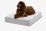 Pawtastic | Large Dog Bed Orthopedic 7-Inch Foam Support for Comfort 21