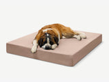 Pawtastic | Large Dog Bed Orthopedic 7-Inch Foam Support for Comfort 24