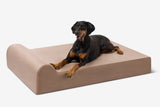 Pawtastic | Large Dog Bed Orthopedic 7-Inch Foam Support for Comfort 27