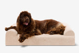 Pawtastic | Large Dog Bed Orthopedic 7-Inch Foam Support for Comfort 28